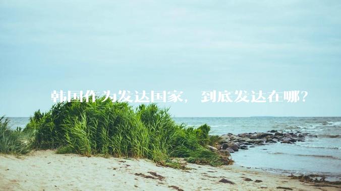 韩国作为发达国家，到底发达在哪？
