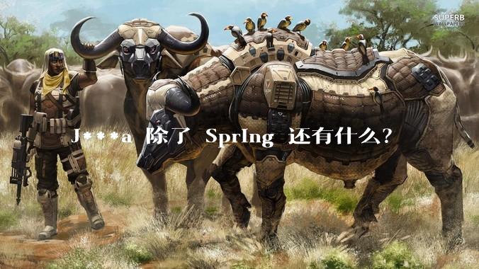 J***a 除了 Spring 还有什么？