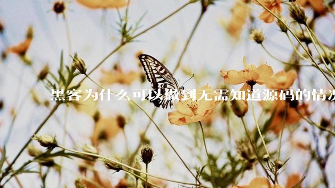 黑客为什么可以做到无需知道源码的情况下找出系统漏洞？