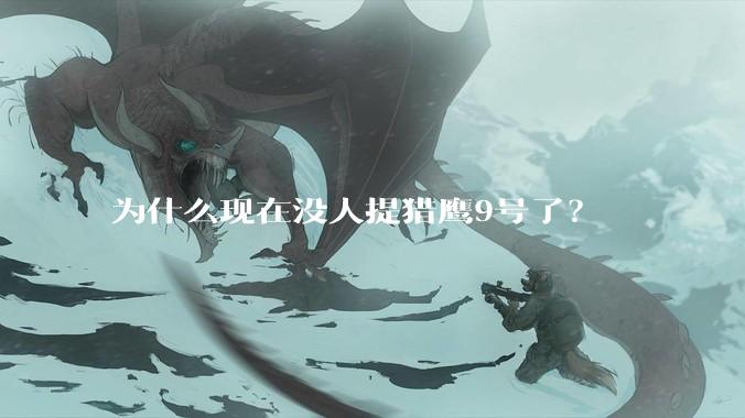 为什么现在没人提猎鹰9号了？