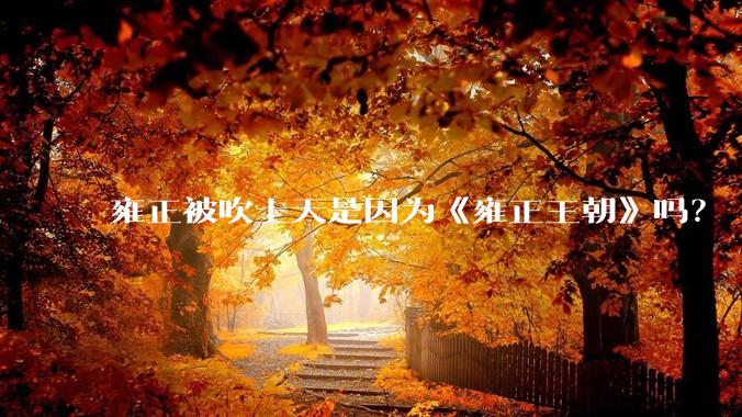 雍正被吹上天是因为《雍正王朝》吗？