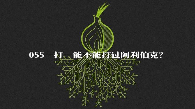 055一打一能不能打过阿利伯克？