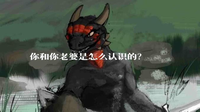 你和你老婆是怎么认识的？