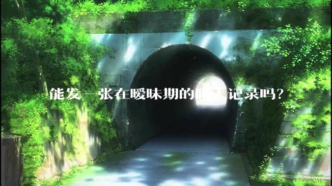能发一张在暧昧期的聊天记录吗？